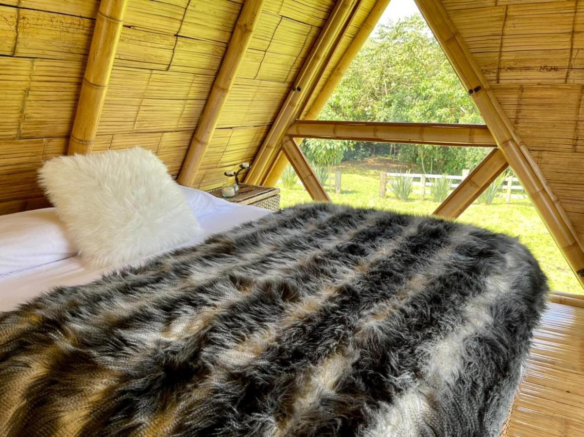 Glamping La Herradura Santa Rosa de Cabal Eksteriør billede