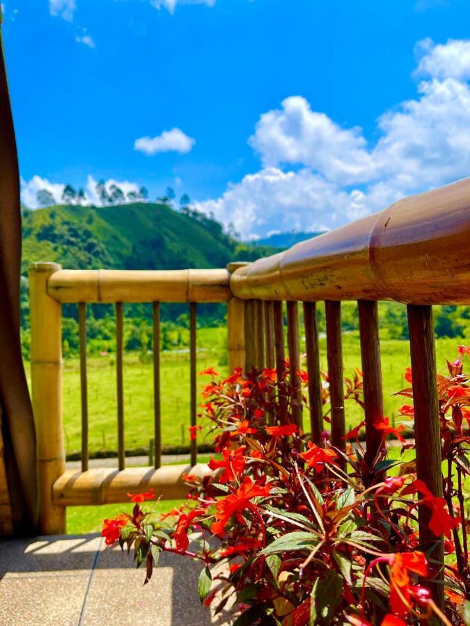 Glamping La Herradura Santa Rosa de Cabal Eksteriør billede