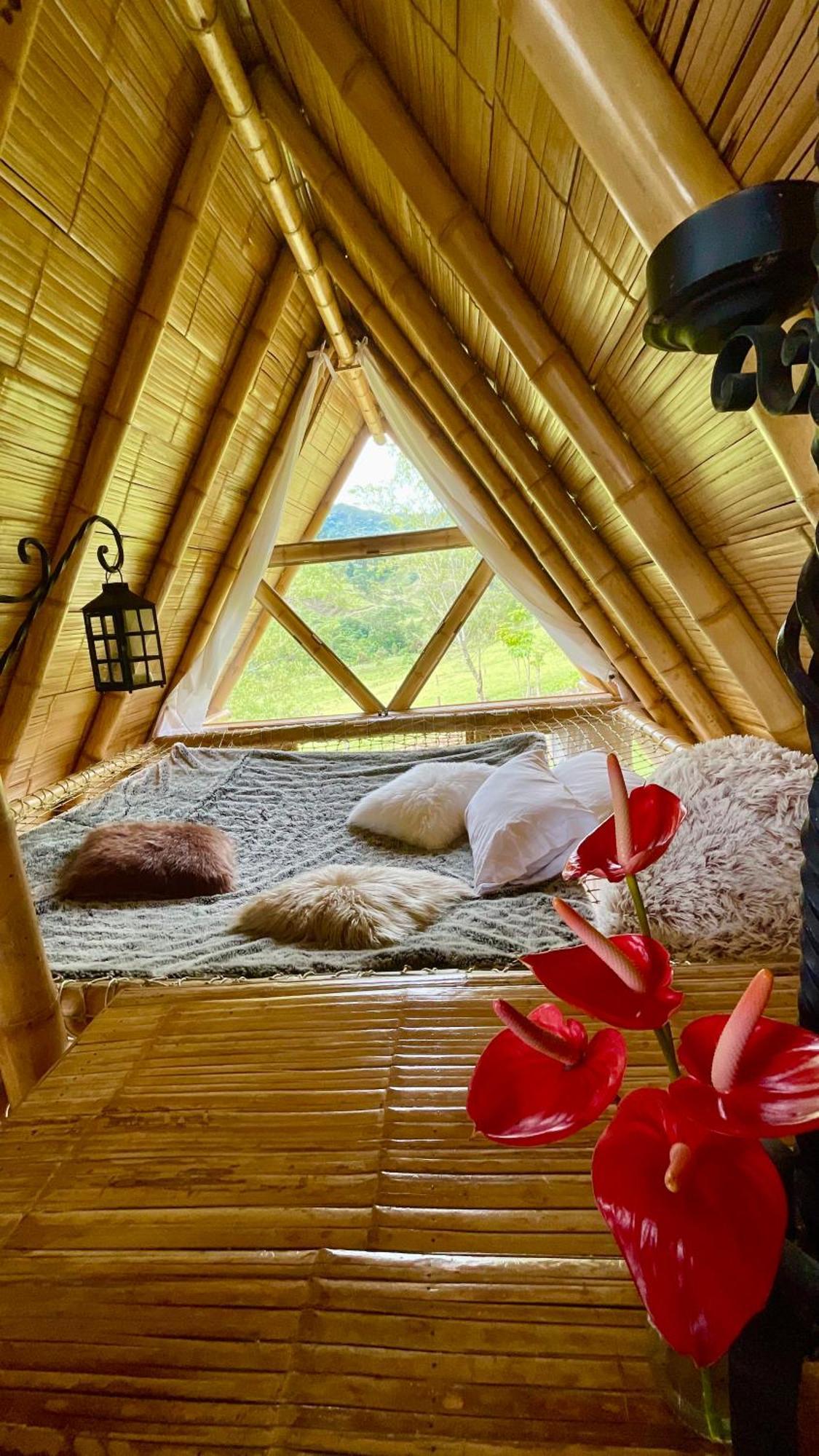 Glamping La Herradura Santa Rosa de Cabal Eksteriør billede