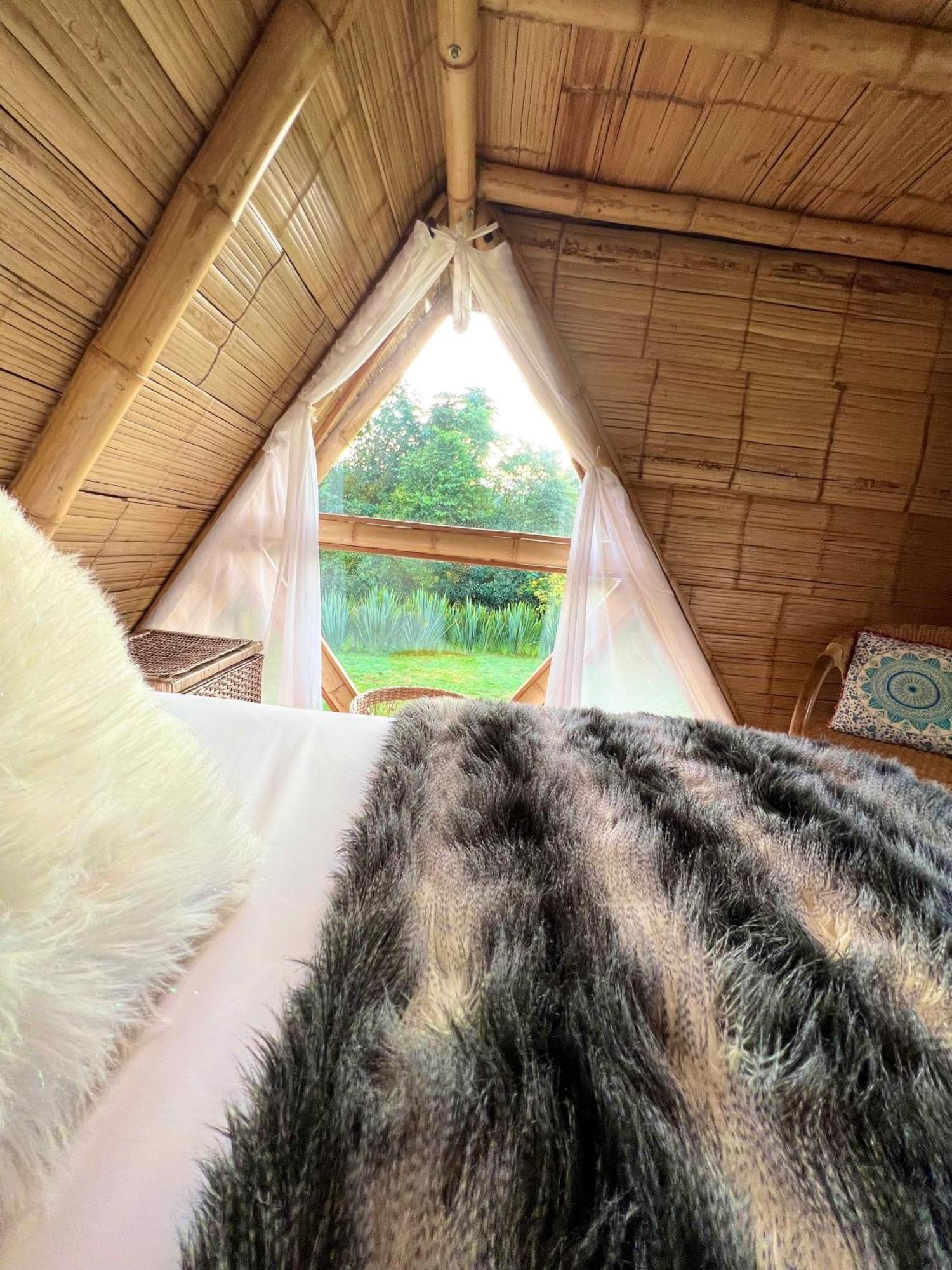 Glamping La Herradura Santa Rosa de Cabal Eksteriør billede